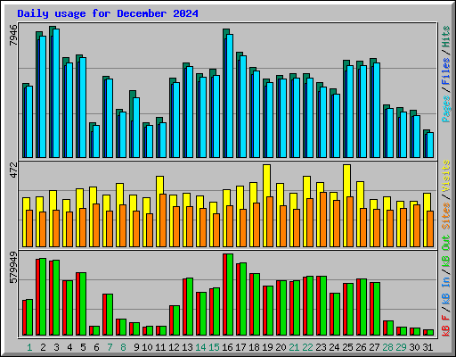 Daily usage for December 2024