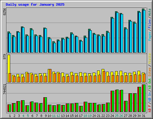 Daily usage for January 2025