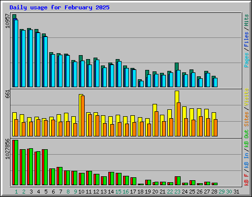 Daily usage for February 2025
