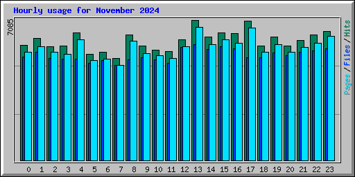 Hourly usage for November 2024
