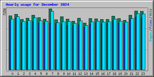 Hourly usage for December 2024