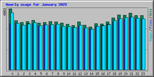 Hourly usage for January 2025