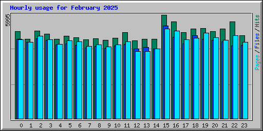 Hourly usage for February 2025