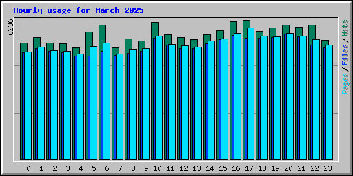 Hourly usage for March 2025