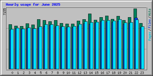 Hourly usage for June 2025