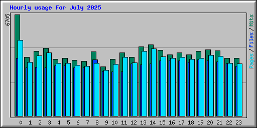 Hourly usage for July 2025