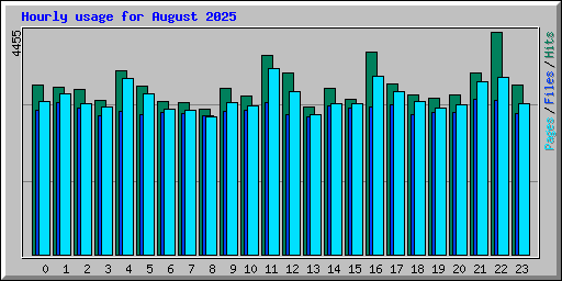 Hourly usage for August 2025