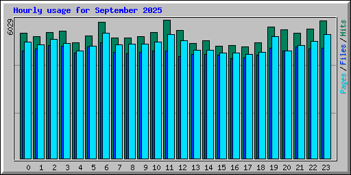 Hourly usage for September 2025