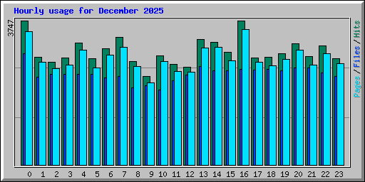 Hourly usage for December 2025