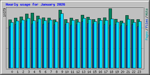 Hourly usage for January 2026