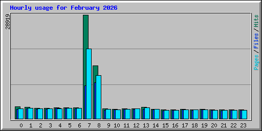Hourly usage for February 2026