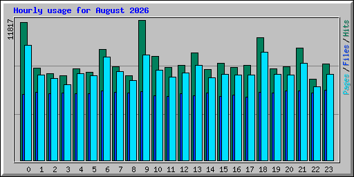 Hourly usage for August 2026